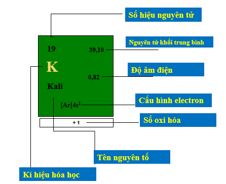 Chi tiết của một ô nguyên tố trong bảng tuần hoàn